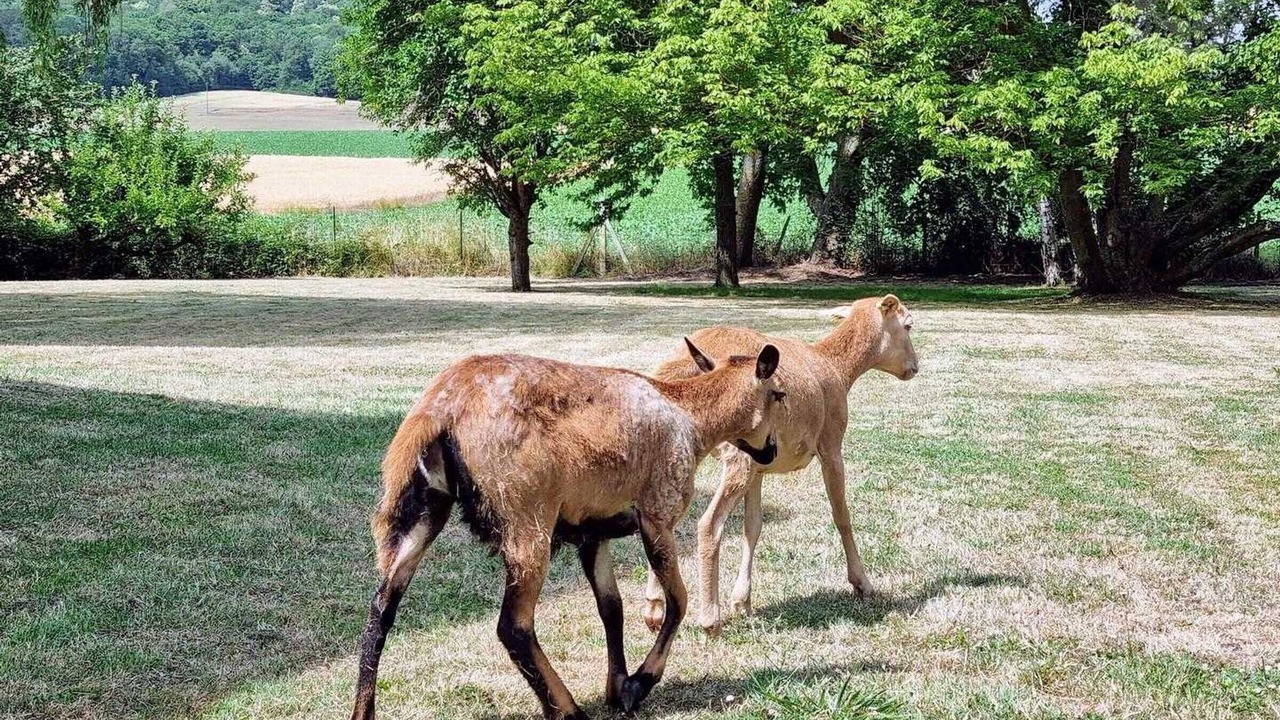 Photo of Outdoor in Maudetour-en-Vexin