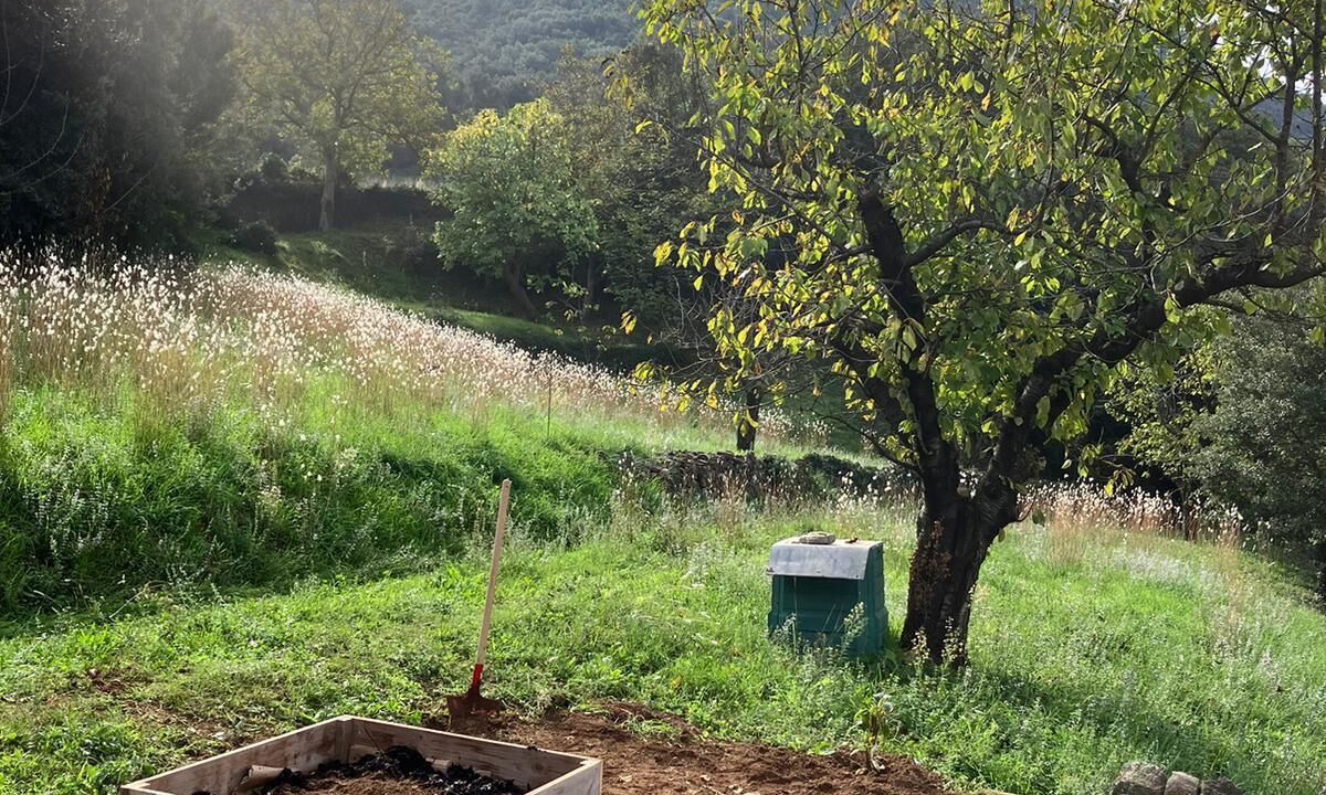Photo of Outdoor in Bedarieux