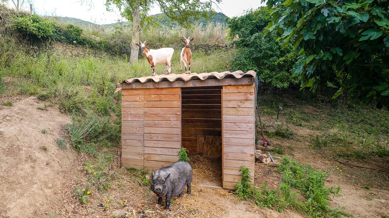 Photo of Outdoor in Bedarieux