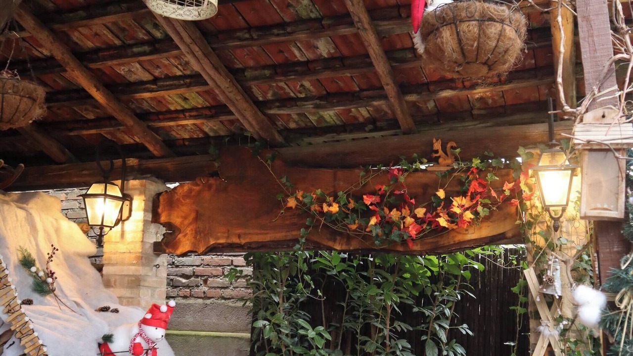 Photo of Outdoor in Plobsheim