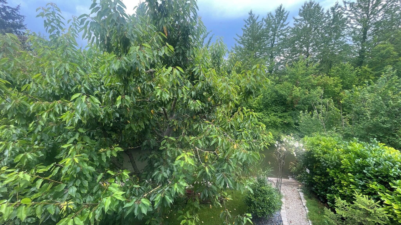 Photo of Outdoor in Plobsheim