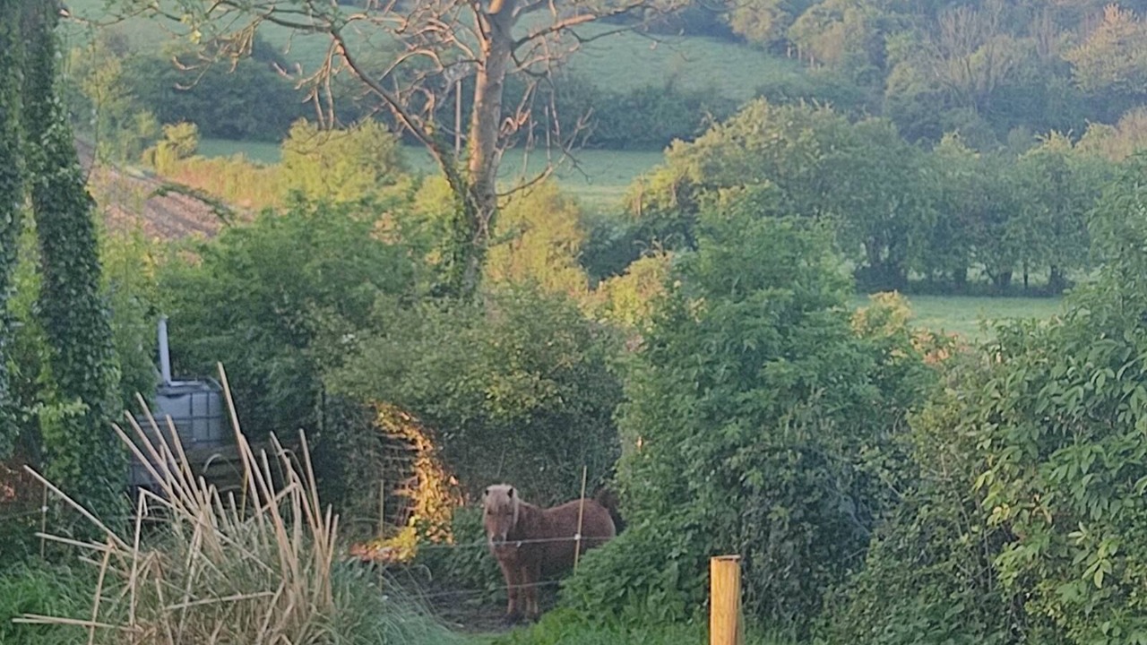 Photo of Outdoor in Alembon