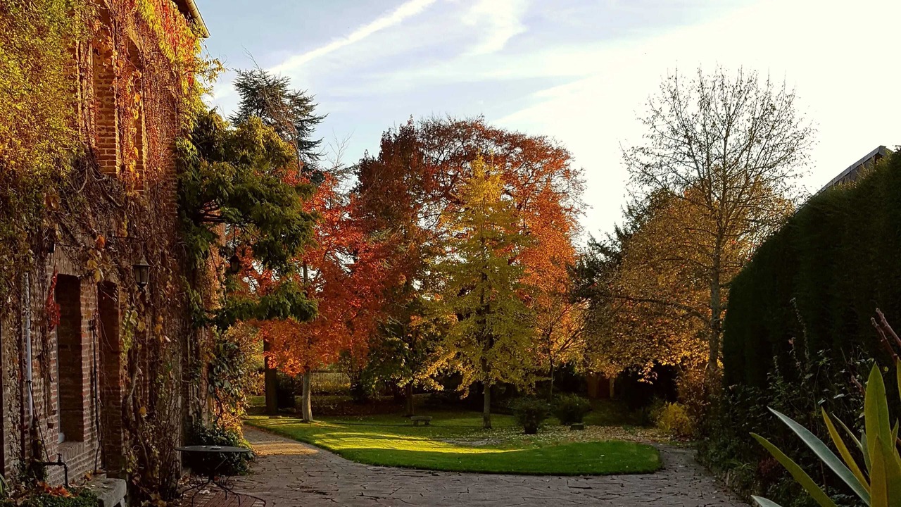 Photo of Outdoor in Forges-les-Eaux