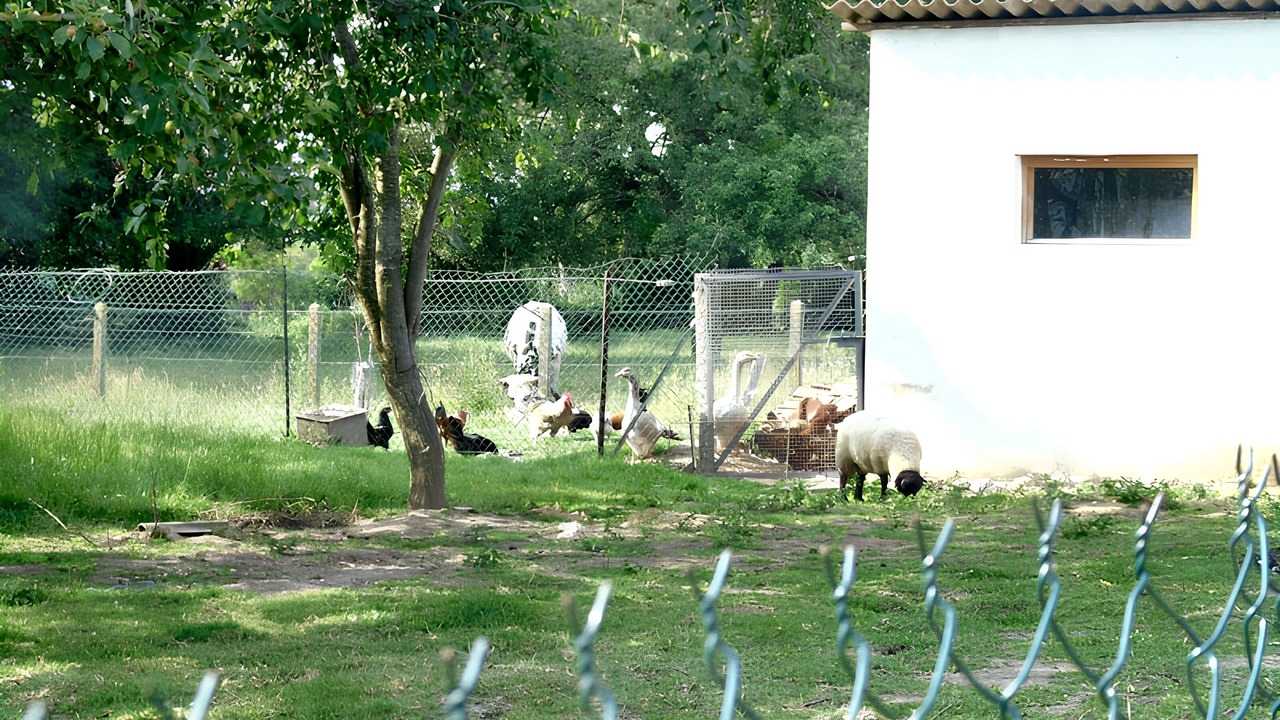 Photo of Outdoor in Avesnes-en-Val