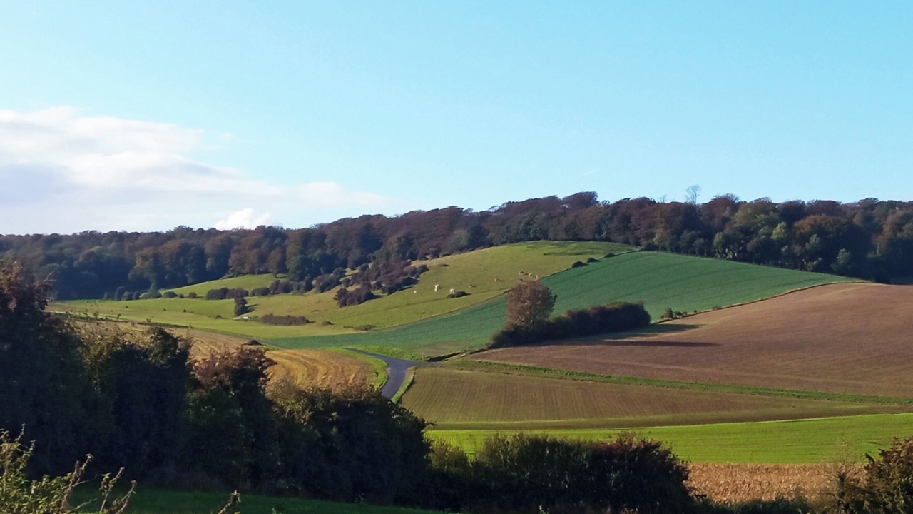 Photo of Outdoor in Alembon