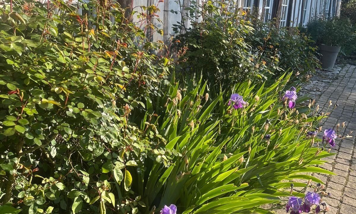 Photo of Outdoor in Vatteville La Rue