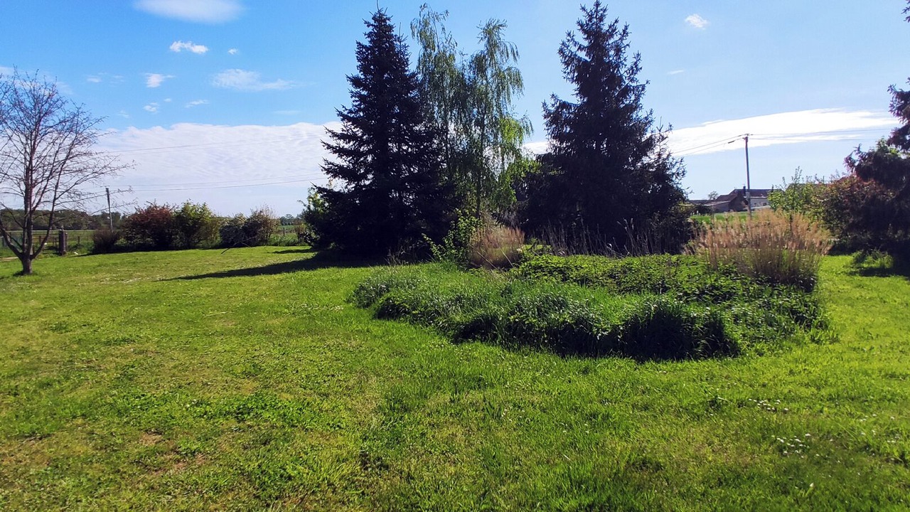 Photo of Outdoor in Fougere