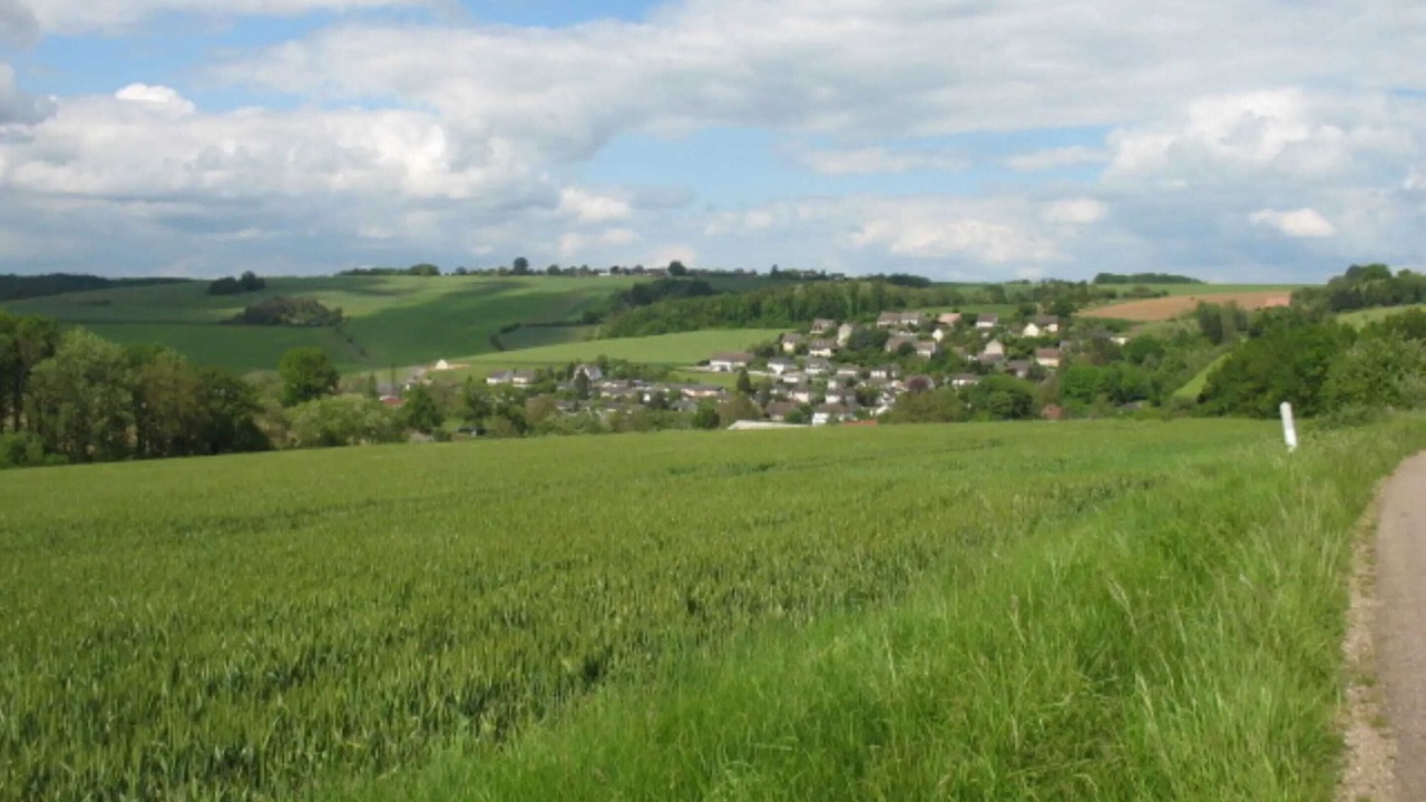 Photo of Others in Coulours