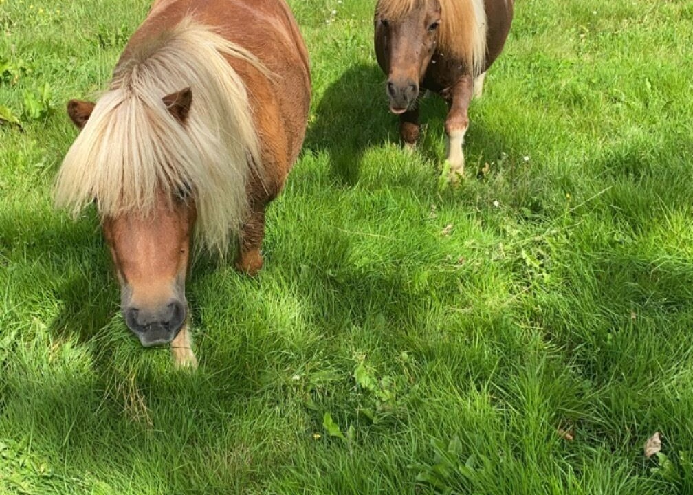 Photo of Outdoor in Contremoulins