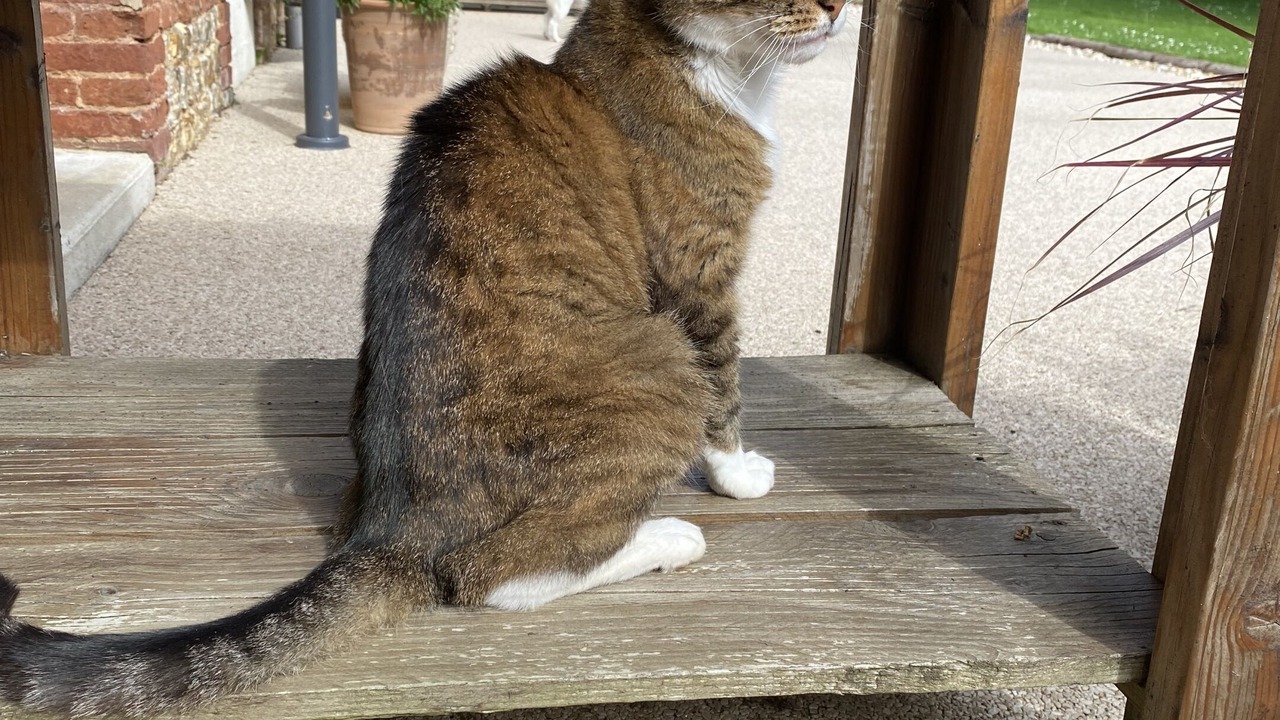 Photo of Outdoor in Contremoulins