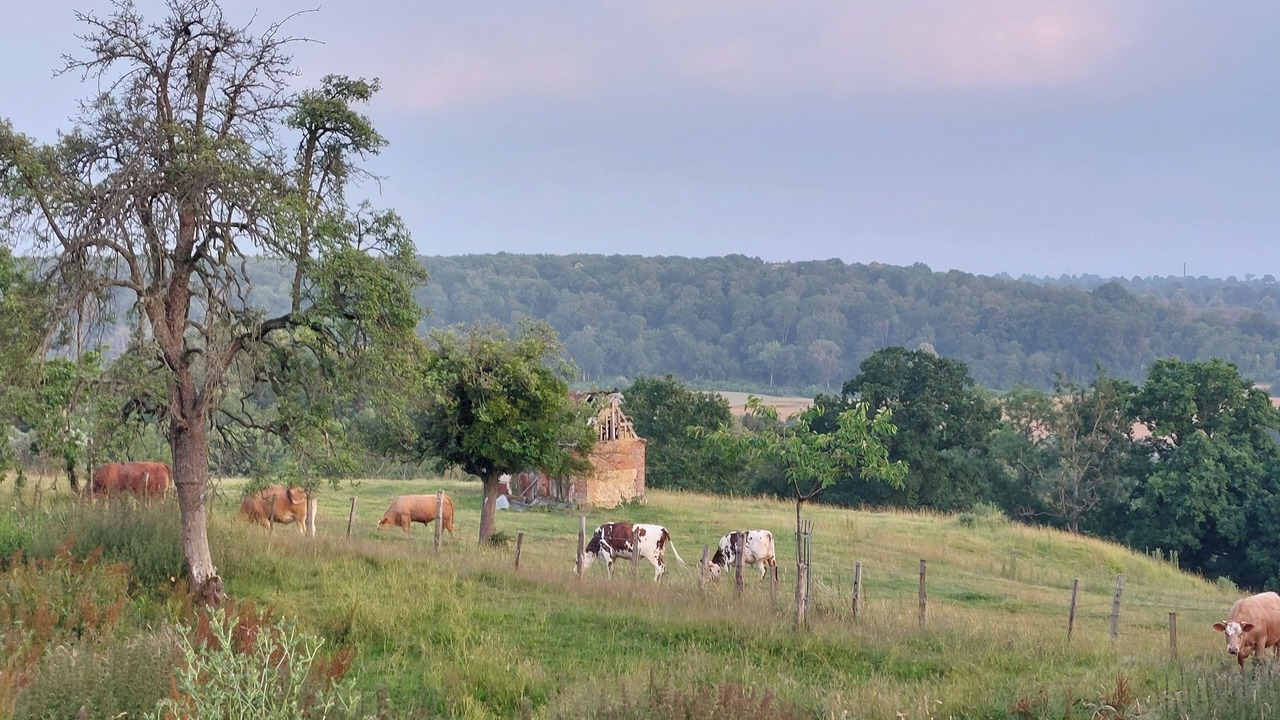 Photo of Outdoor in Hermival-les-Vaux