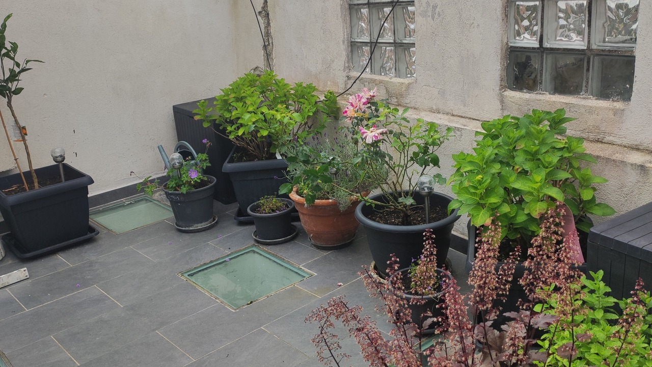 Photo of Patio Balcony in Argenteuil