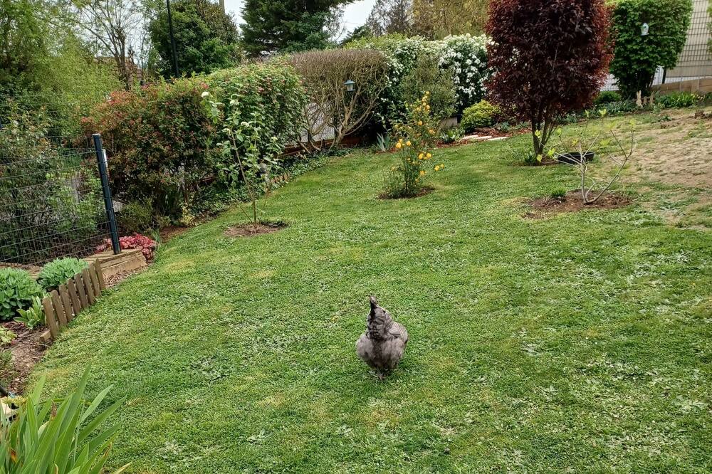 Photo of Outdoor in Le Meux