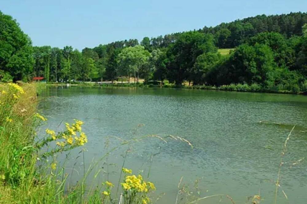 Photo of Others in Thoisy-la-Berchere