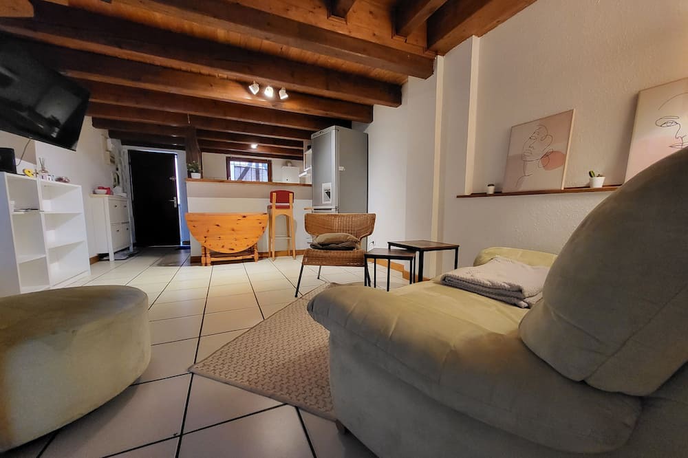 Photo of Livingroom in Schiltigheim