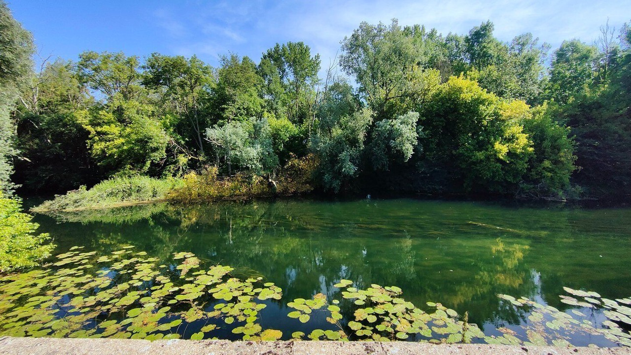Photo of Outdoor in Roffey