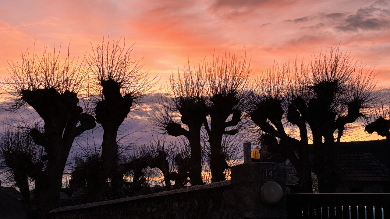 Photo of Outdoor in Chavenay