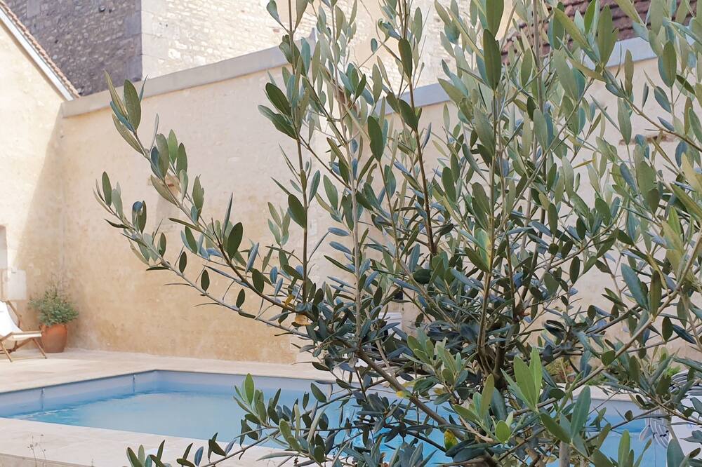 Photo of Outdoor in Coulanges-la-Vineuse