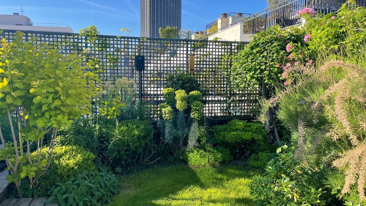 Photo of Outdoor in Notre-Dame-des-Champs