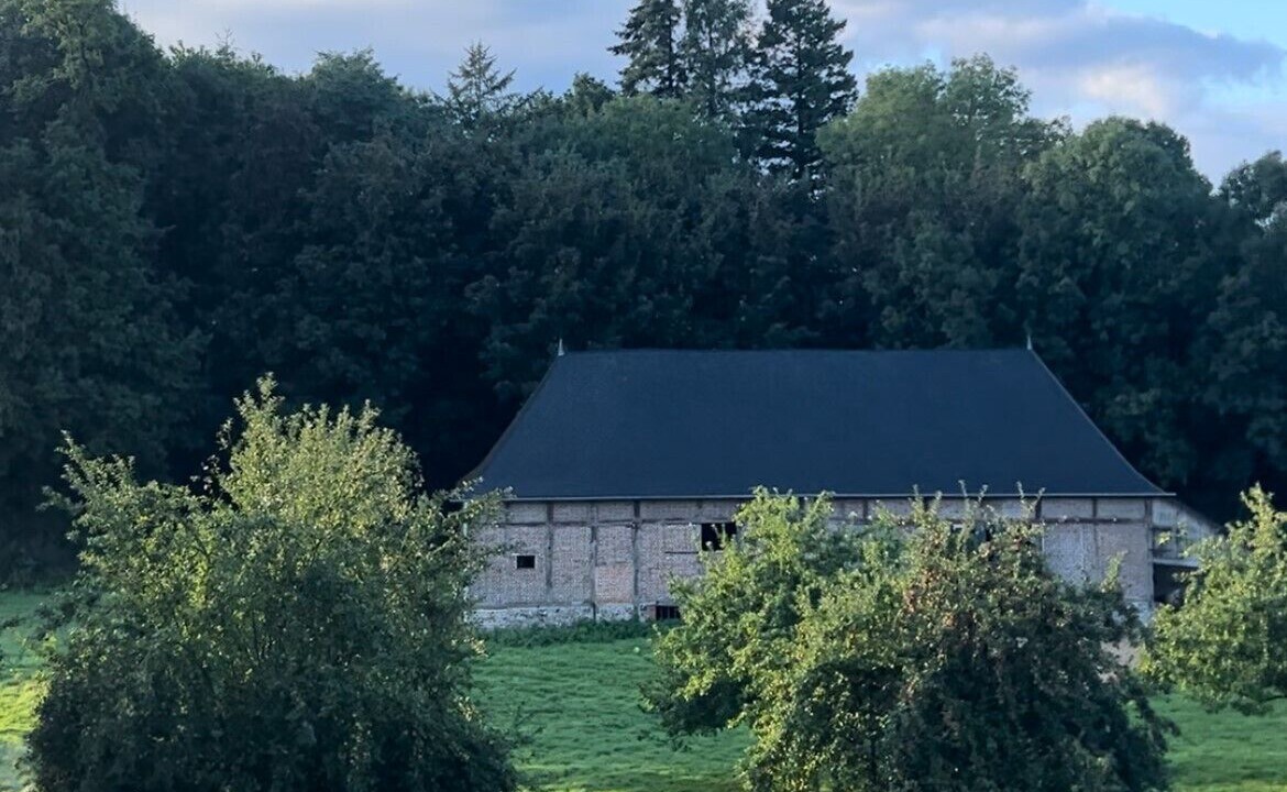 Photo of Others in Saint-Martin-aux-Arbres
