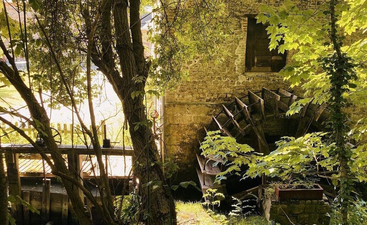 Photo of Outdoor in Saint-Martin-aux-Arbres