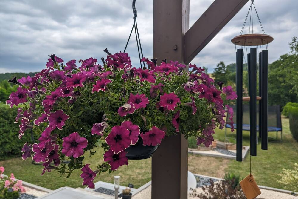 Photo of Outdoor in Arbigny-sous-Varennes