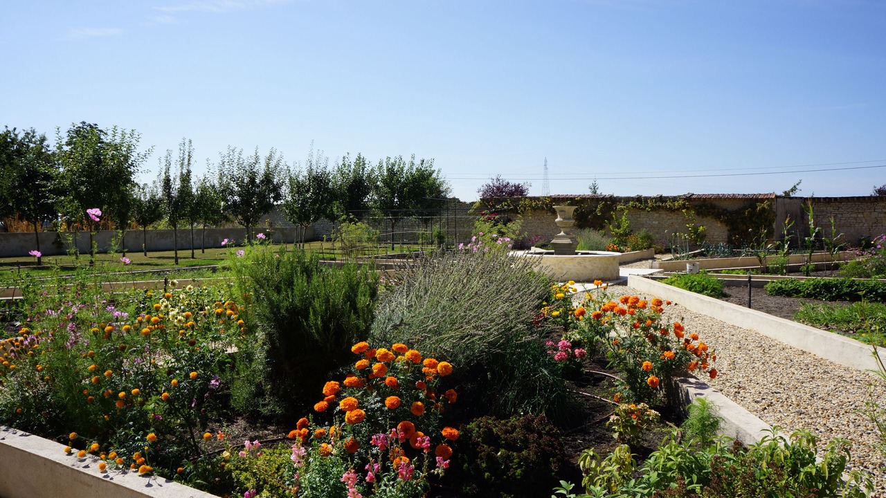 Photo of Outdoor in Charentonnay