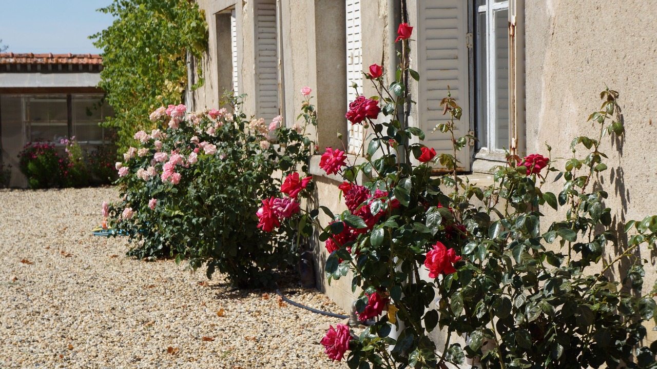 Photo of Outdoor in Charentonnay