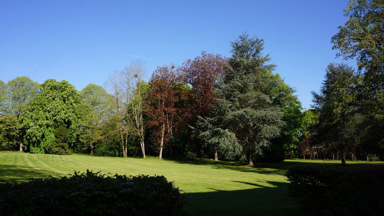 Photo of Outdoor in Charentonnay