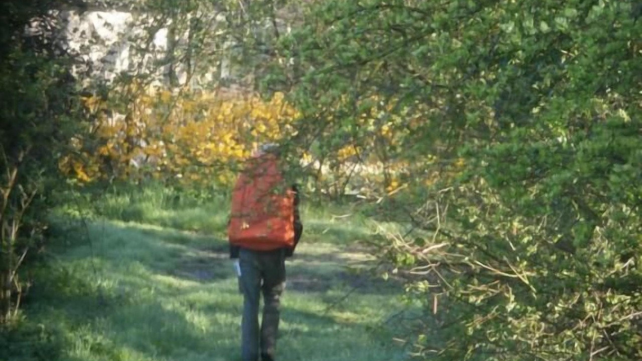 Photo of Others in Saint-Algis