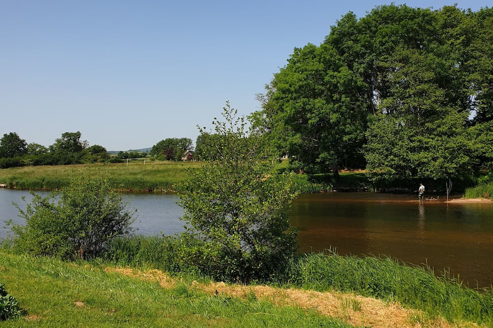 Photo of Outdoor in La Comelle
