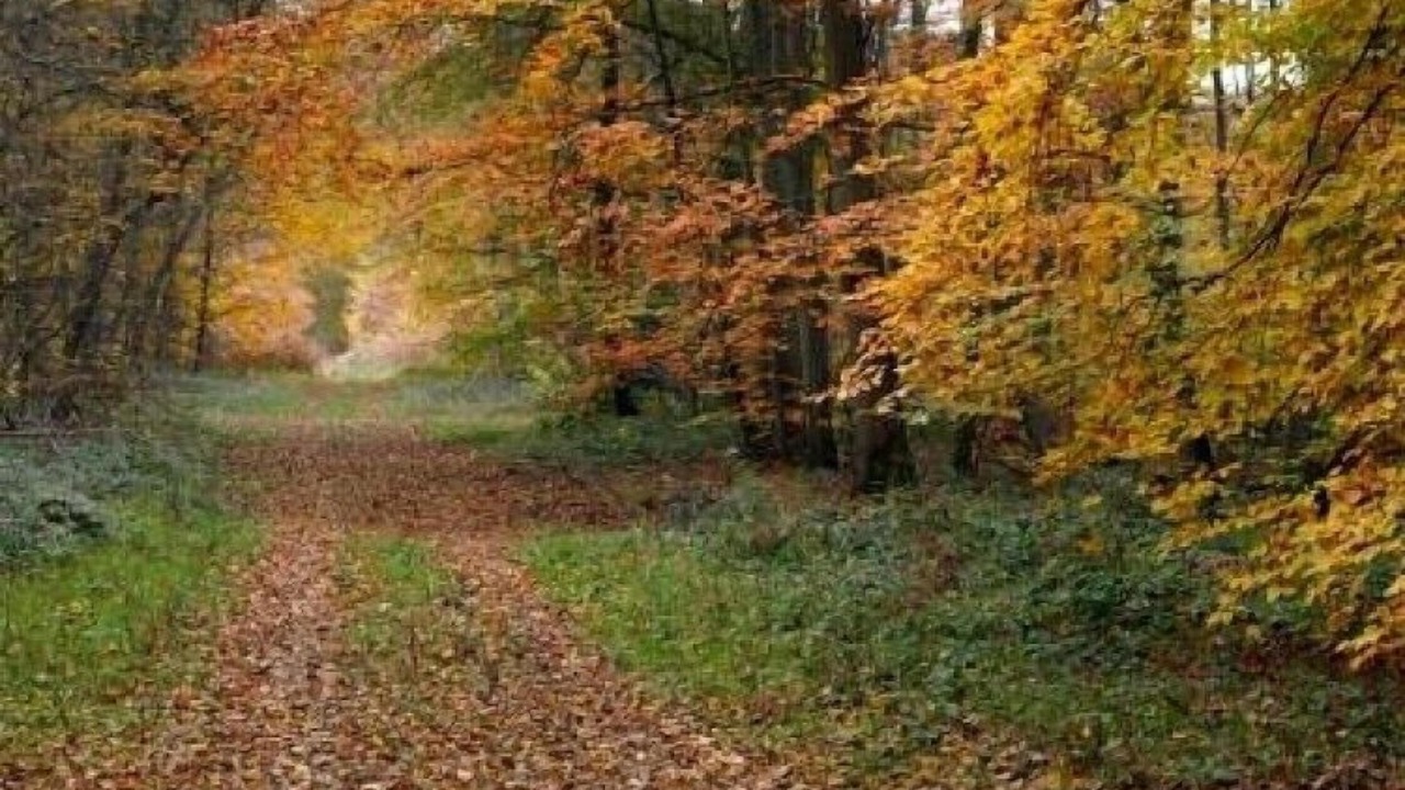 Photo of Outdoor in Fleurines