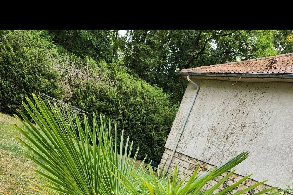 Photo of Outdoor in Lamorlaye