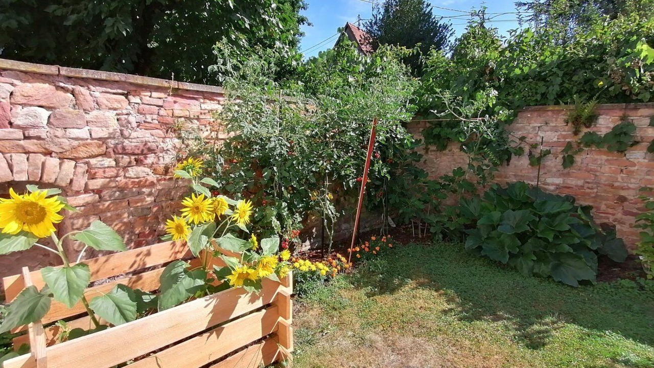 Photo of Outdoor in Wissembourg