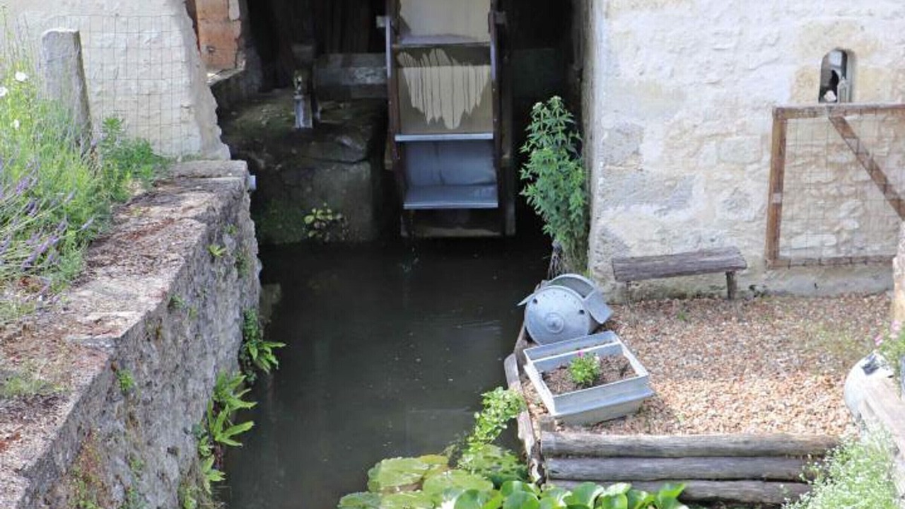 Photo of Outdoor in La Chapelle-Souef
