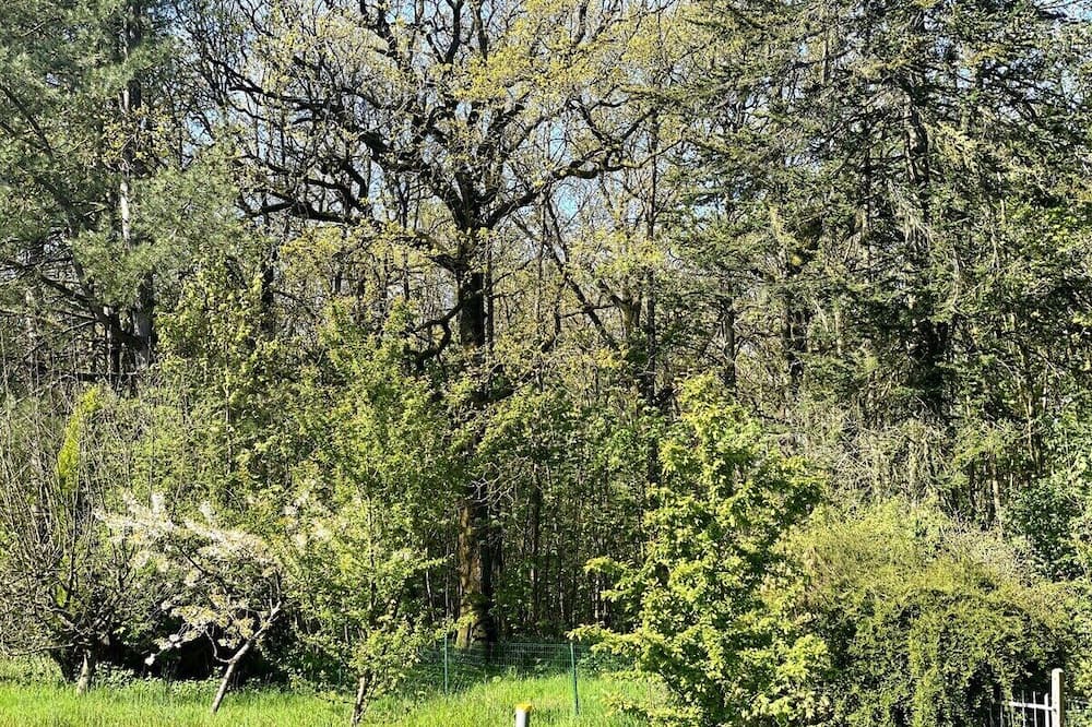Photo of Outdoor in Wierre-au-Bois
