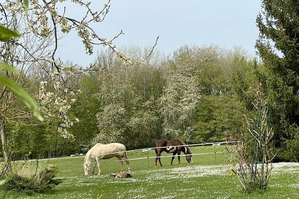 Photo of Outdoor in Villeneuve-sur-Bellot