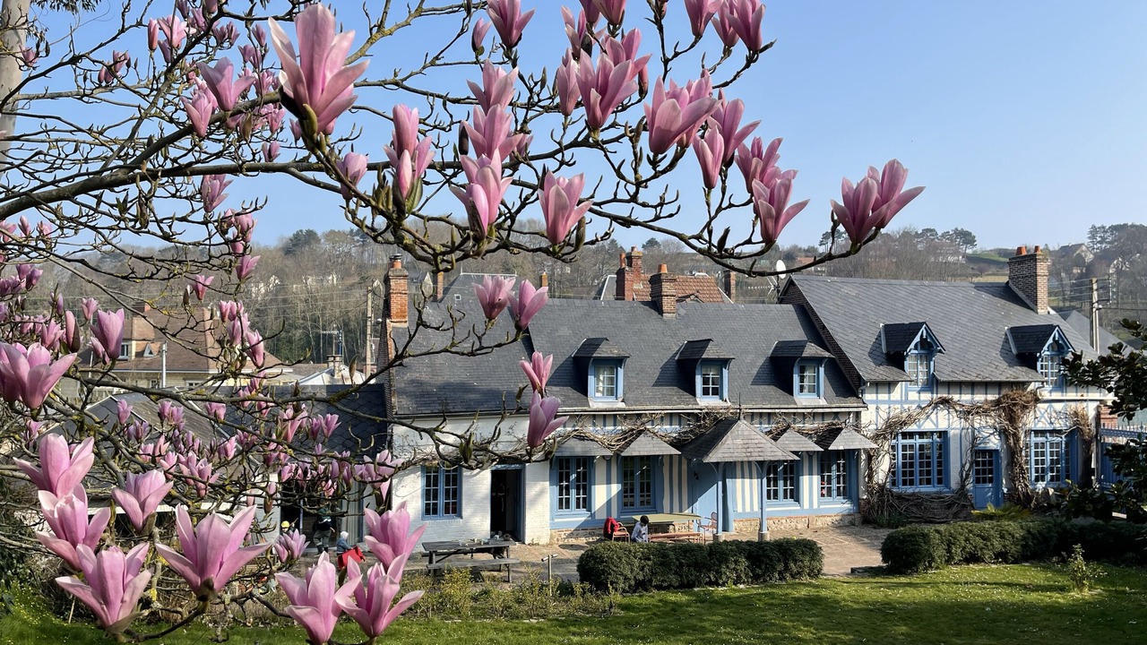 Photo of Others in Saint-Valery-en-Caux