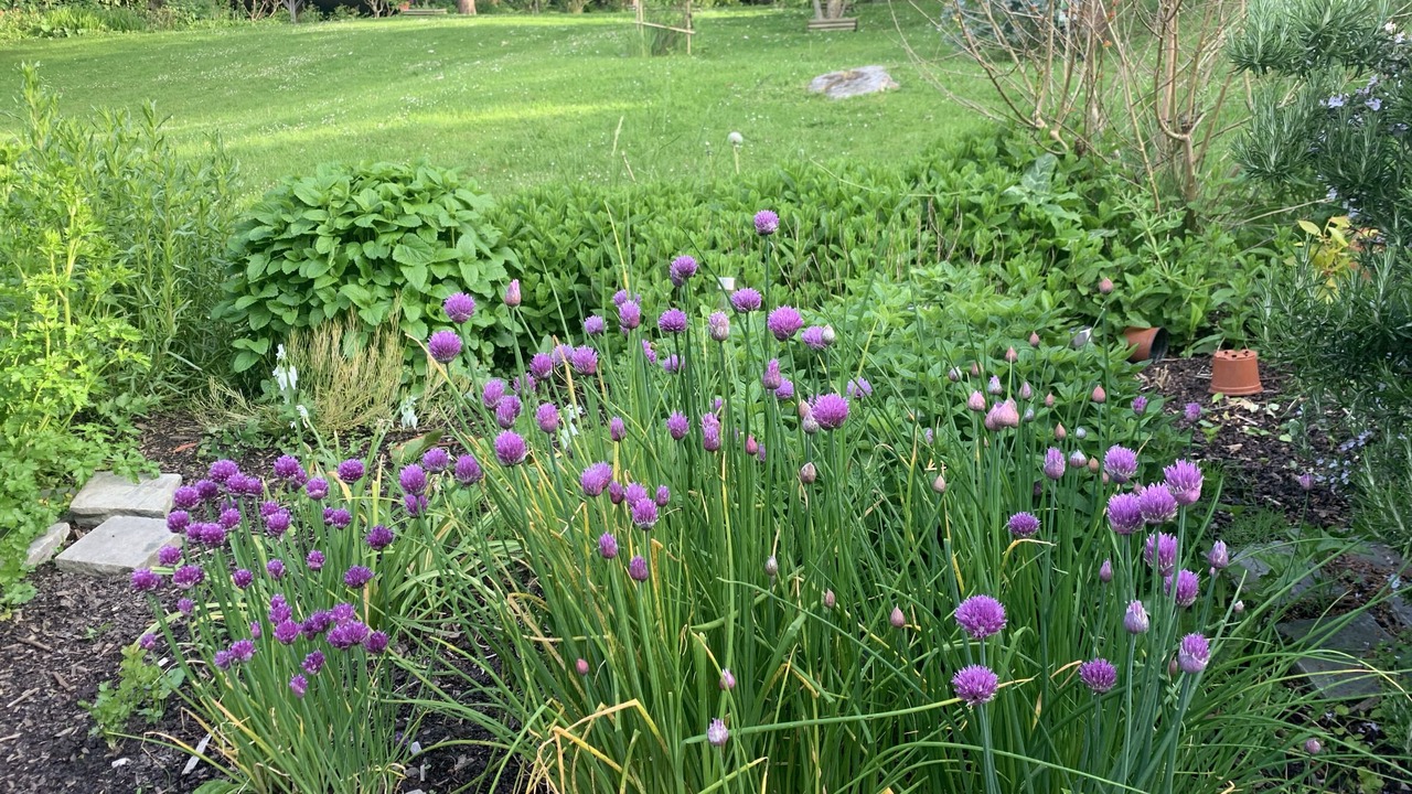Photo of Outdoor in Saint-Valery-en-Caux