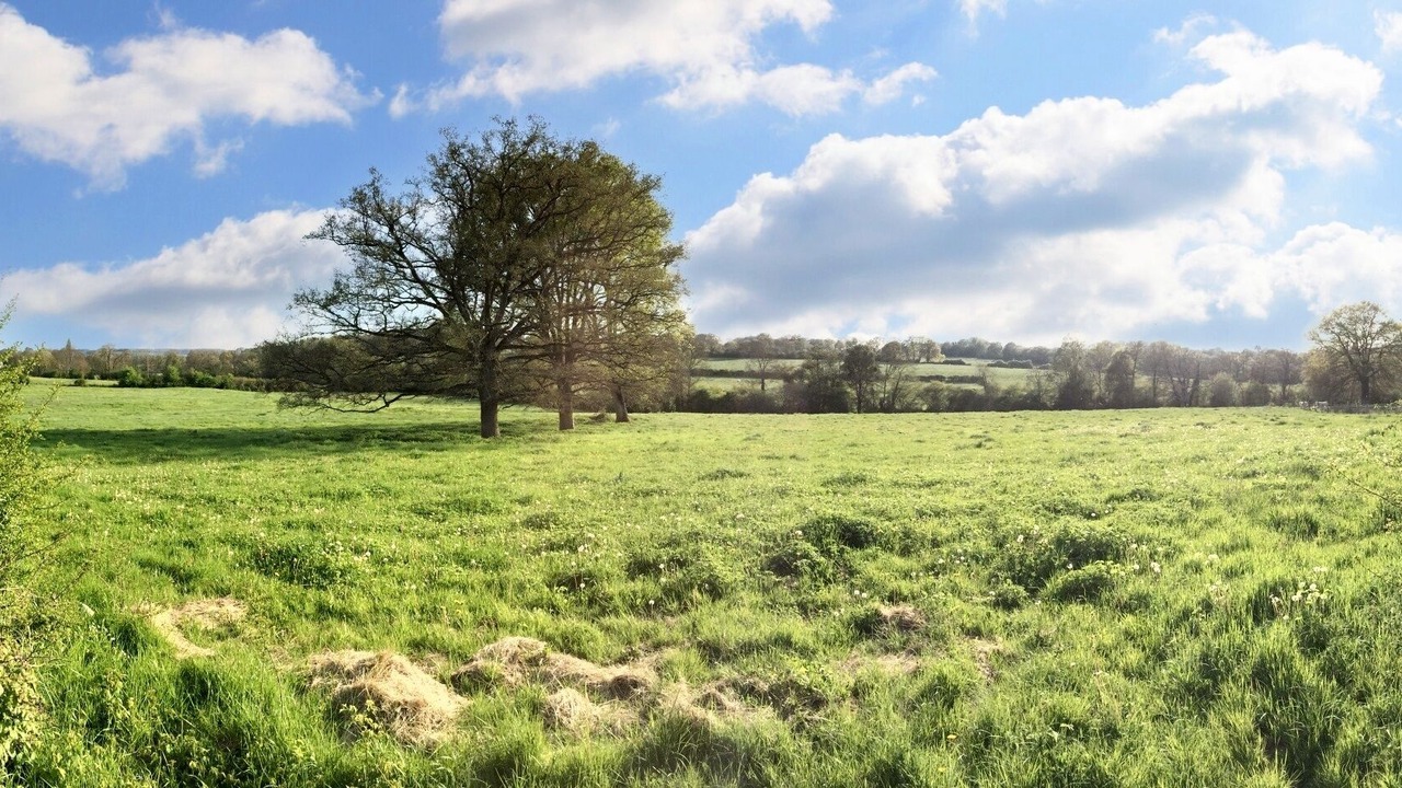Photo of Outdoor in Dampierre-sous-Bouhy