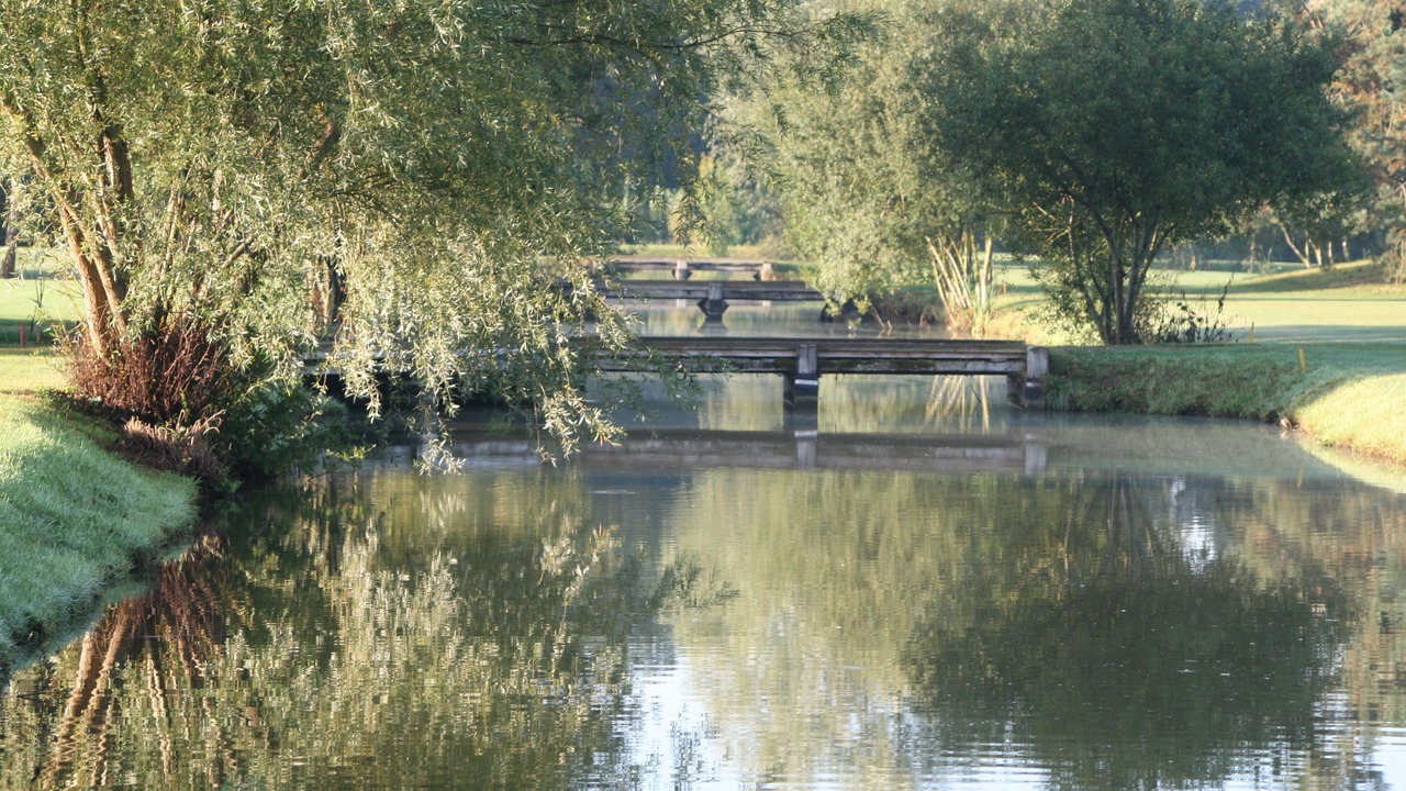 Photo of Others in Vineuil-Saint-Firmin