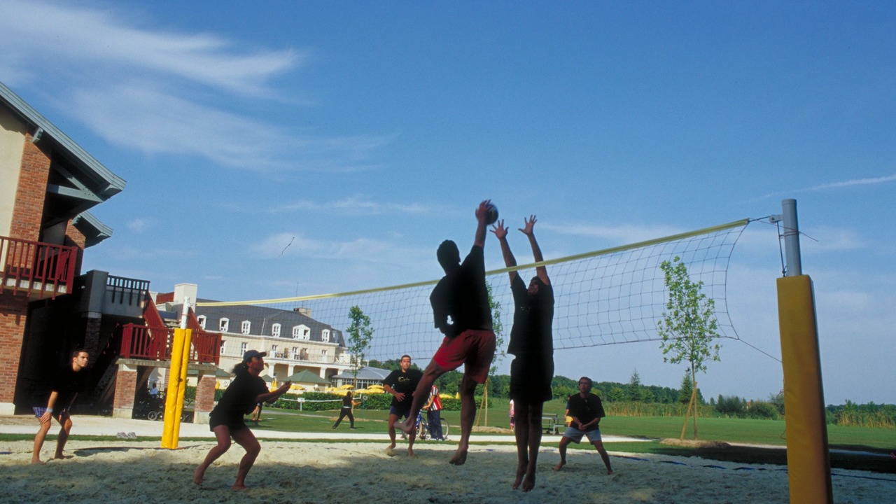 Photo of Others in Vineuil-Saint-Firmin