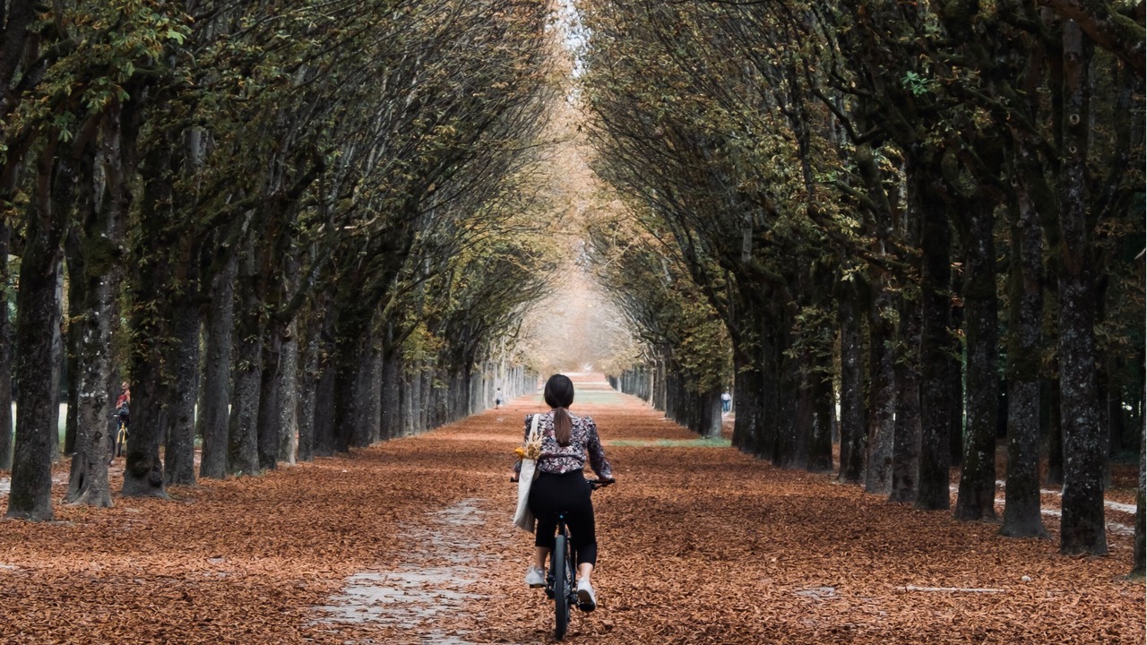 Photo of Outdoor in Fontainebleau