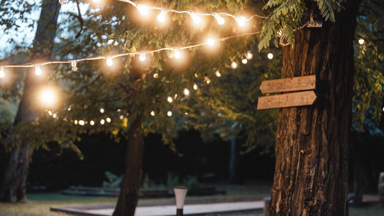 Photo of Outdoor in Fontainebleau