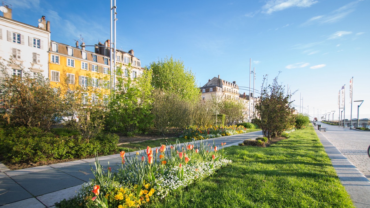 Photo of Outdoor in Flace