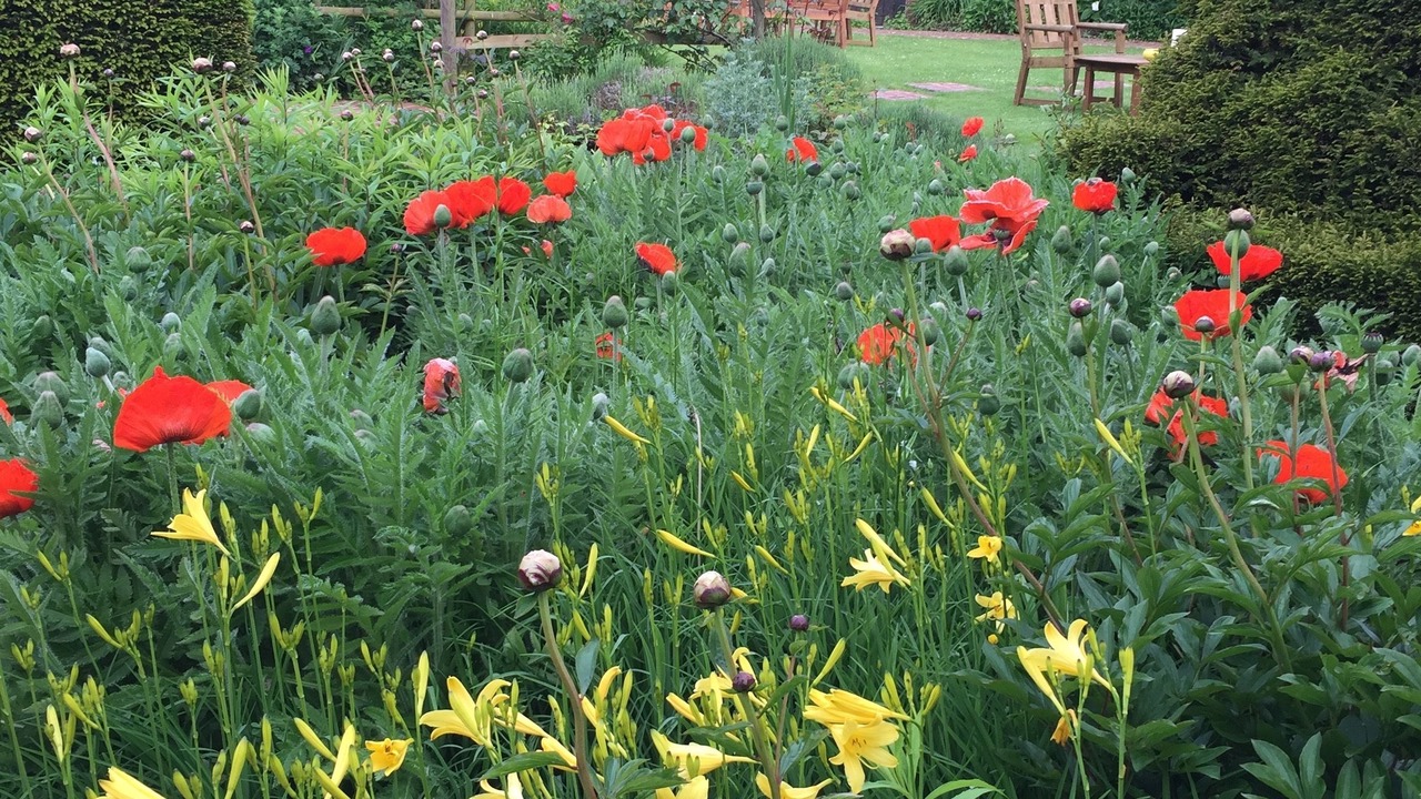 Photo of Outdoor in Montreuil-sur-Mer