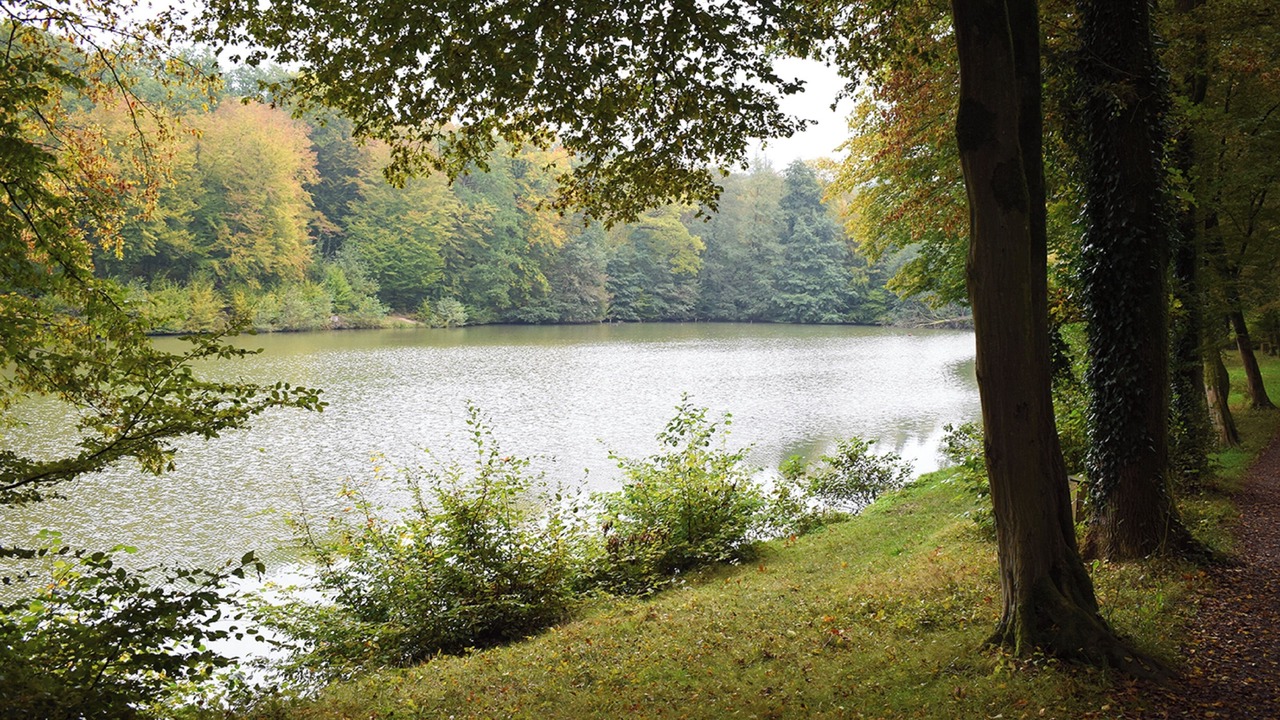 Photo of Outdoor in Fourmies