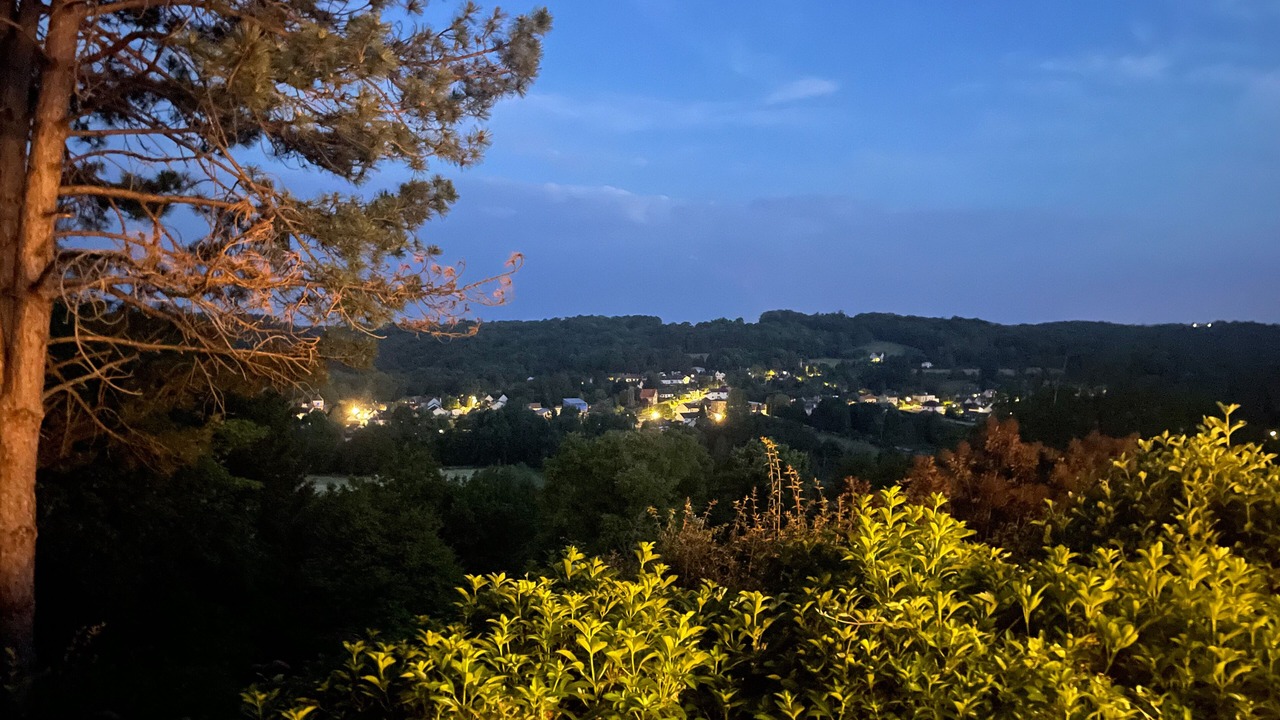 Photo of Others in Saint-Cyr-sur-Morin
