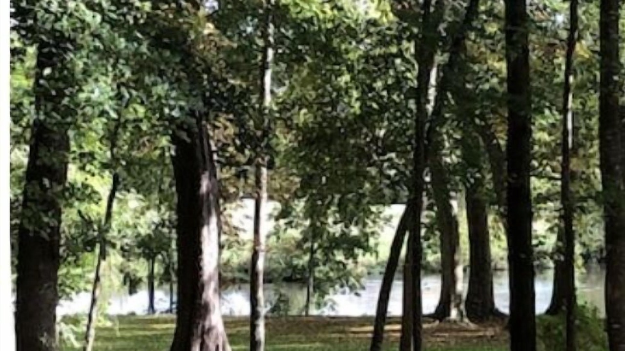 Photo of Outdoor in Merry-sur-Yonne