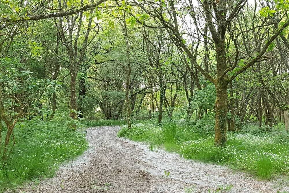 Photo of Outdoor in Lignieres-Orgeres